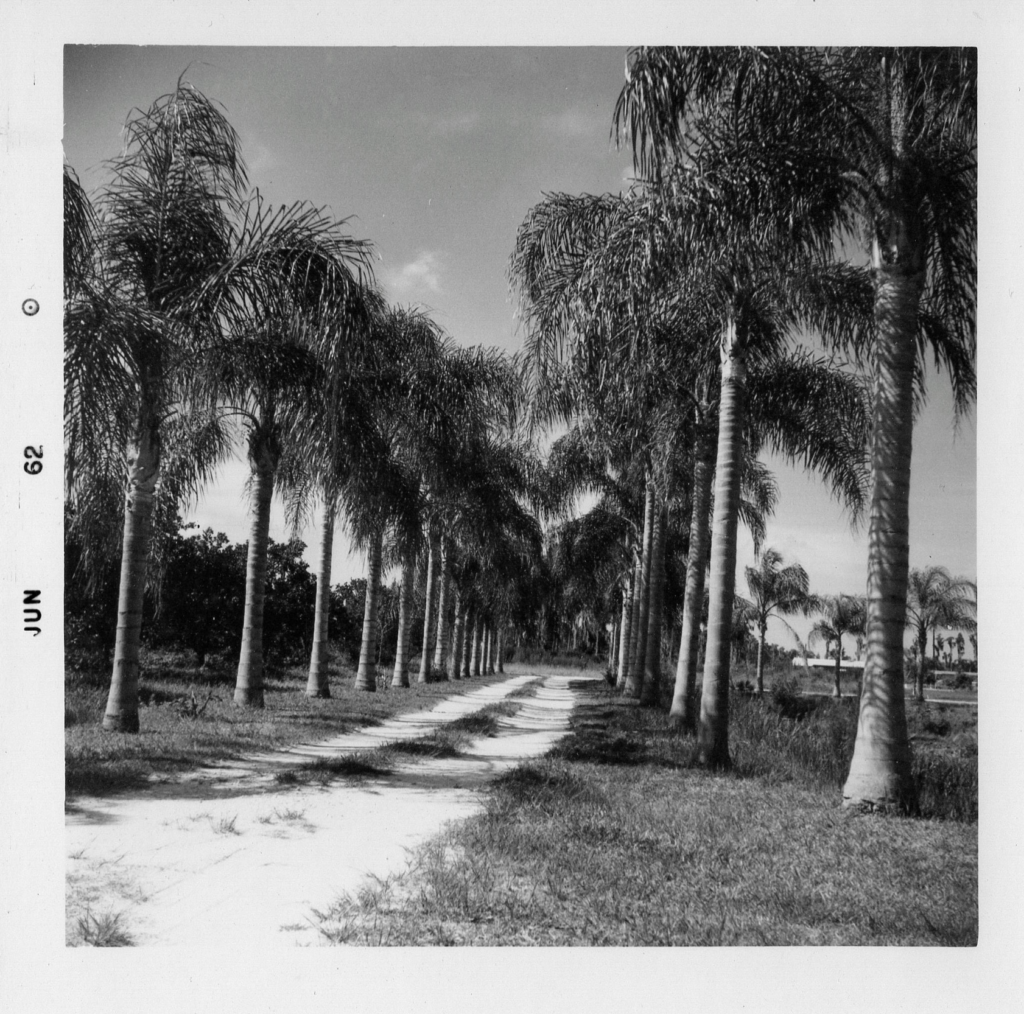 Land o Lakes Florida 1962 at Aunt Gerti and Uncle Eds House on the Lake drive way to the house